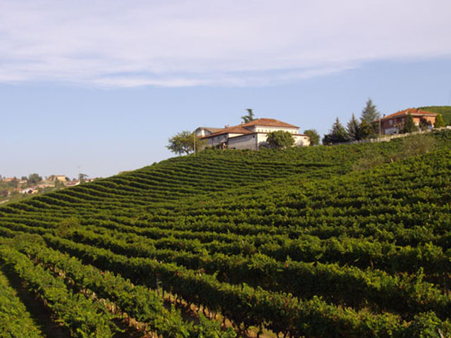 portoni industriali per azienda vitivinicola